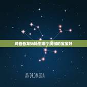 鸡爸爸龙妈妈生哪个属相的宝宝好，妈妈属猴，爸爸属鸡，生哪个属相的宝宝好