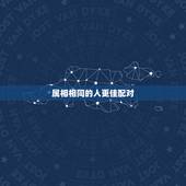 属相相同的人更佳配对，十二生肖配对姻缘