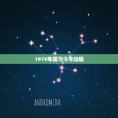 1978年属马今年运程，78年属马女人今年运程如何