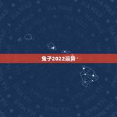 兔子2022运势，1987年属兔2022年运势及运程女性
