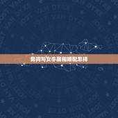 男狗与女牛属相婚配怎样，属相马的男生和属相狗的女生怎么样