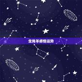 生肖羊感情运势，1979年男属羊2022 年运势