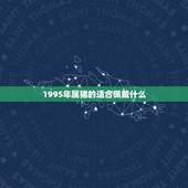 1995年属猪的适合佩戴什么，属猪的戴什么属相好