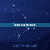 属牛天平座2022运势，我是天秤座的属牛 谁知道今年的运程如何？