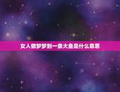 女人做梦梦到一条大鱼是什么意思，女人梦见大鱼是什么意思