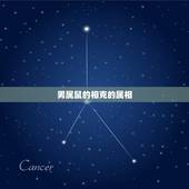 男属鼠的相克的属相，属鼠相克的属相是什么