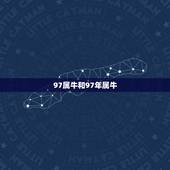 97属牛和97年属牛，97年属牛的是什么命