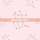 属狗的最佳行业做什么，属狗的适合干什么职业