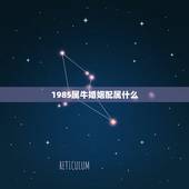 1985属牛婚姻配属什么 85年属牛的属相婚配表