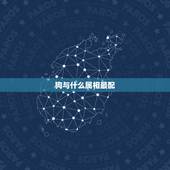 狗与什么属相最配，羊狗一窝，必定富