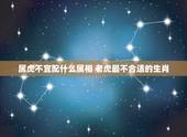 属虎不宜配什么属相 老虎最不合适的生肖