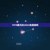 1978属马女2023会离婚吗，属马女78年二月生一生会离婚吗？