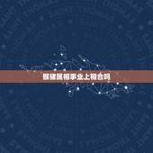 猴猪属相事业上相合吗，1968年属猴的和1971年属猪的有相冲吗