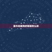 属牛和属狗的婚姻怎么样，属狗的与属牛的婚配好吗
