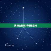 属相生肖配对姻缘查询，十二生肖配对姻缘合婚