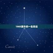 1985属牛的一生命运，1985属牛人2021年全年运势