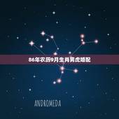86年农历9月生肖男虎婚配，属虎的和什么属相最配