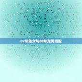 87年兔女与88年龙男婚配，87年女兔和88年男龙配吗