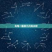 乌龟一般养几只风水好，请问家里养几只乌龟吉利？谢谢！