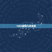1982属狗几月命苦，属狗人最命苦的出生月份