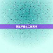 属鼠干什么工作更好，属鼠的适合开什么公司