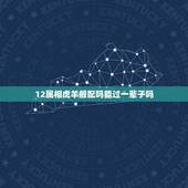 12属相虎羊般配吗能过一辈子吗，属羊的和什么属相般配