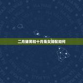 二月猪男和十月兔女婚配如何，属兔女和属猪男婚配吗？