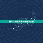 属牛人和属虎人的婚姻怎么样，属牛和属虎相克吗