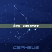 属蛇男一见钟情的生肖女，属蛇男分手后悔伤心吗