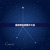 酒店情侣房图片大全，五星级酒店需要