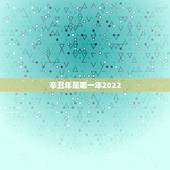 辛丑年是哪一年2022 ，辛丑牛年2022 是什么命