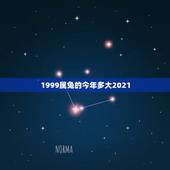 1999属兔的今年多大2021，属兔2021年岁表