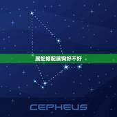 属蛇婚配属狗好不好，属蛇和属狗的相配吗