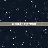 2023年适合生孩子的属相，2023年适合生宝宝吗