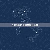 1985年11月属牛是什么命 1985年属牛好不好