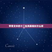 甲骨文中的十二生肖属相长什么样，12生肖的甲骨文怎么写