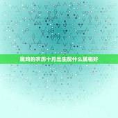属鸡的农历十月出生配什么属相好，属鸡人和什么属相最配，属鸡的最佳配偶