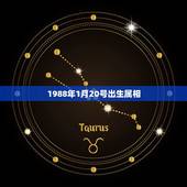 1988年1月20号出生属相，属兔1988年1月20日是啥星座