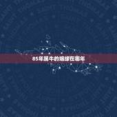 85年属牛的姻缘在哪年，85年属牛和84年属鼠的婚姻好不好