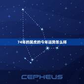 74年的属虎的今年运势怎么样