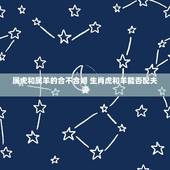 属虎和属羊的合不合婚 生肖虎和羊能否配夫妻