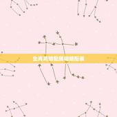 生肖鸡婚配属相婚配表，生肖婚配：属鸡的人和什么属相最配