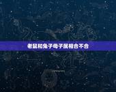 老鼠和兔子母子属相合不合，兔子和老鼠属相不合？