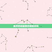 属虎的和鼠猴的婚配好吗，属猴的和属虎的结婚好吗