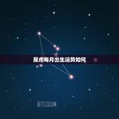 属虎每月出生运势如何，属兔人每月出生的命运