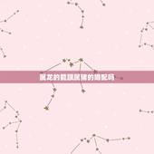 属龙的能跟属猪的婚配吗，属龙的丑时和属猪的申时相配吗？