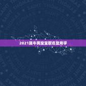 2021属牛男宝宝取名宜用字，2021年属牛的男孩叫什么名字