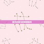 属羊的属马的能婚配吗，属羊与属马人婚配合适吗
