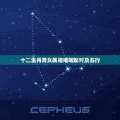 十二生肖男女属相婚姻配对及五行，十二生肖男女婚配表