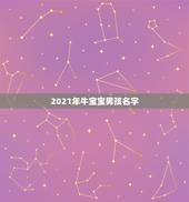 2021年牛宝宝男孩名字，2021年好听的宝名字